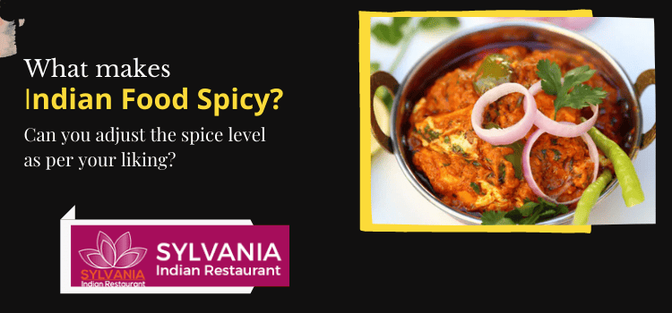 What makes Indian food spicy? Can you adjust the spice level as per your liking?