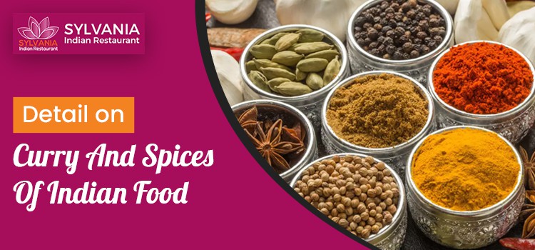 Details On Curry And Spices Of Indian Food