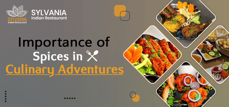 Importance of Spices in Culinary Adventures